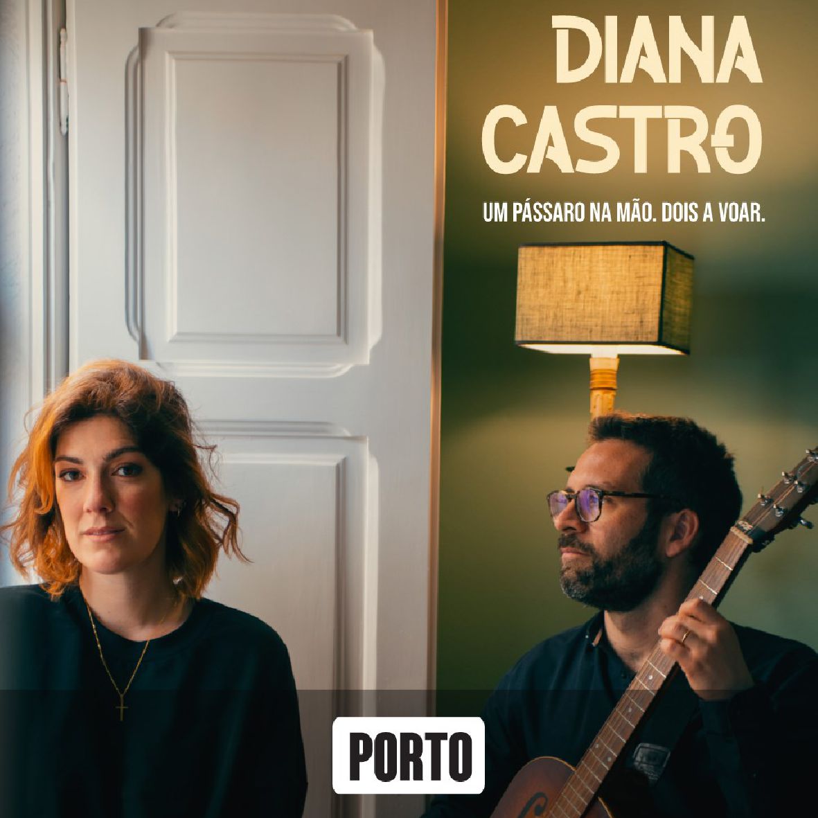 Diana Castro - Um pássaro na mão. Dois a voar.